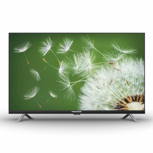 Televizor: Premier, 43PRM600S SMART