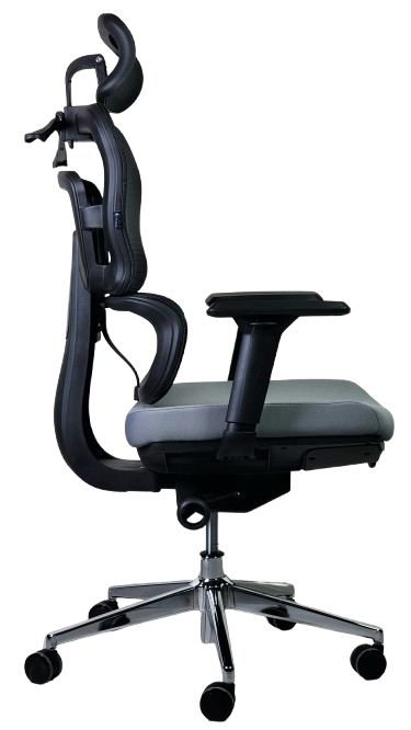 Ofis kreslosi SitWell APEX