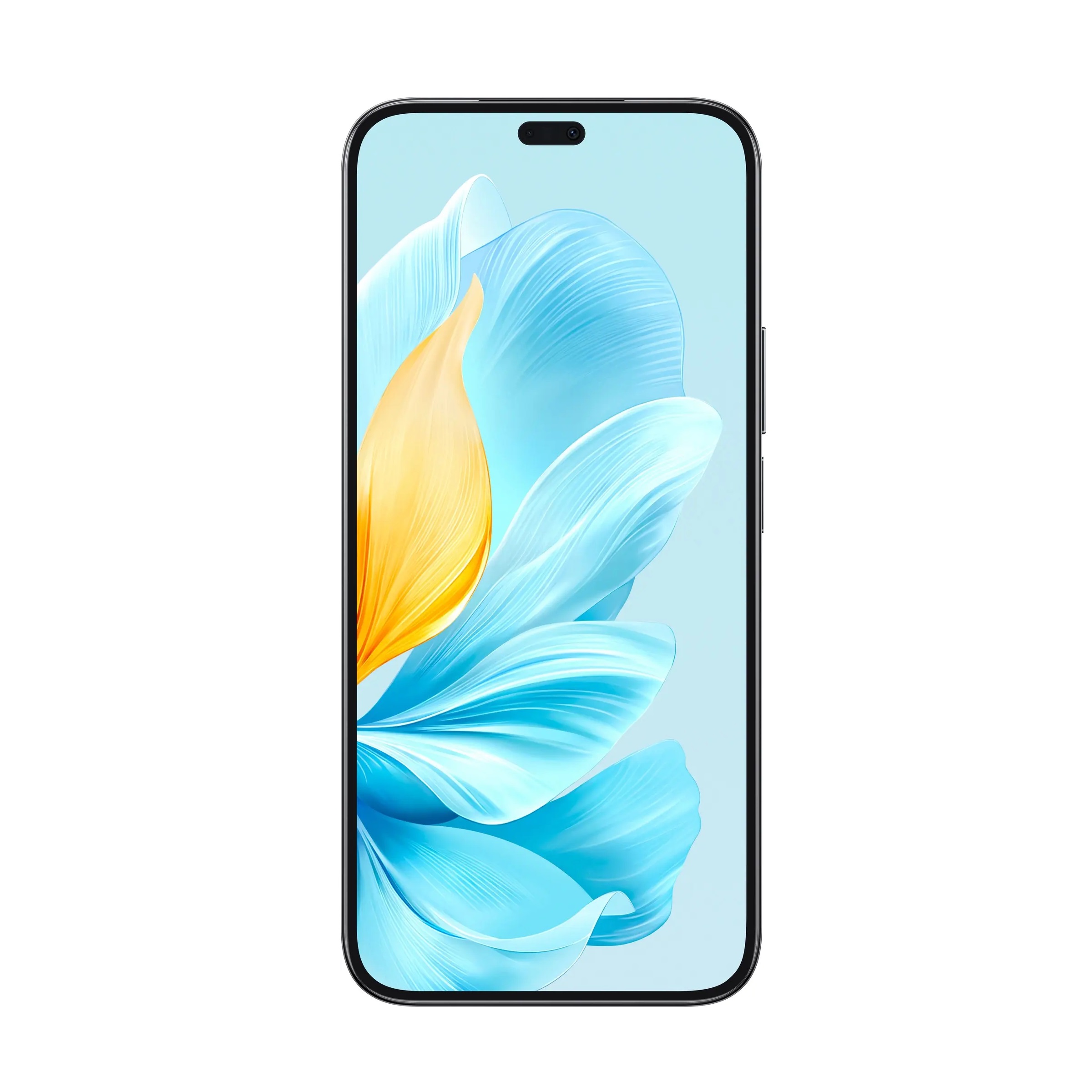 Смартфон Honor 200 Lite 8/256 ГБ, Black
